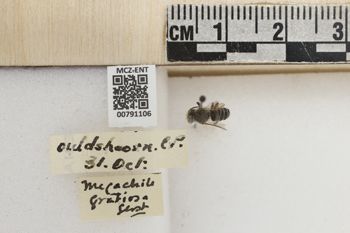 Media type: image;   Entomology 791106 Aspect: Labels